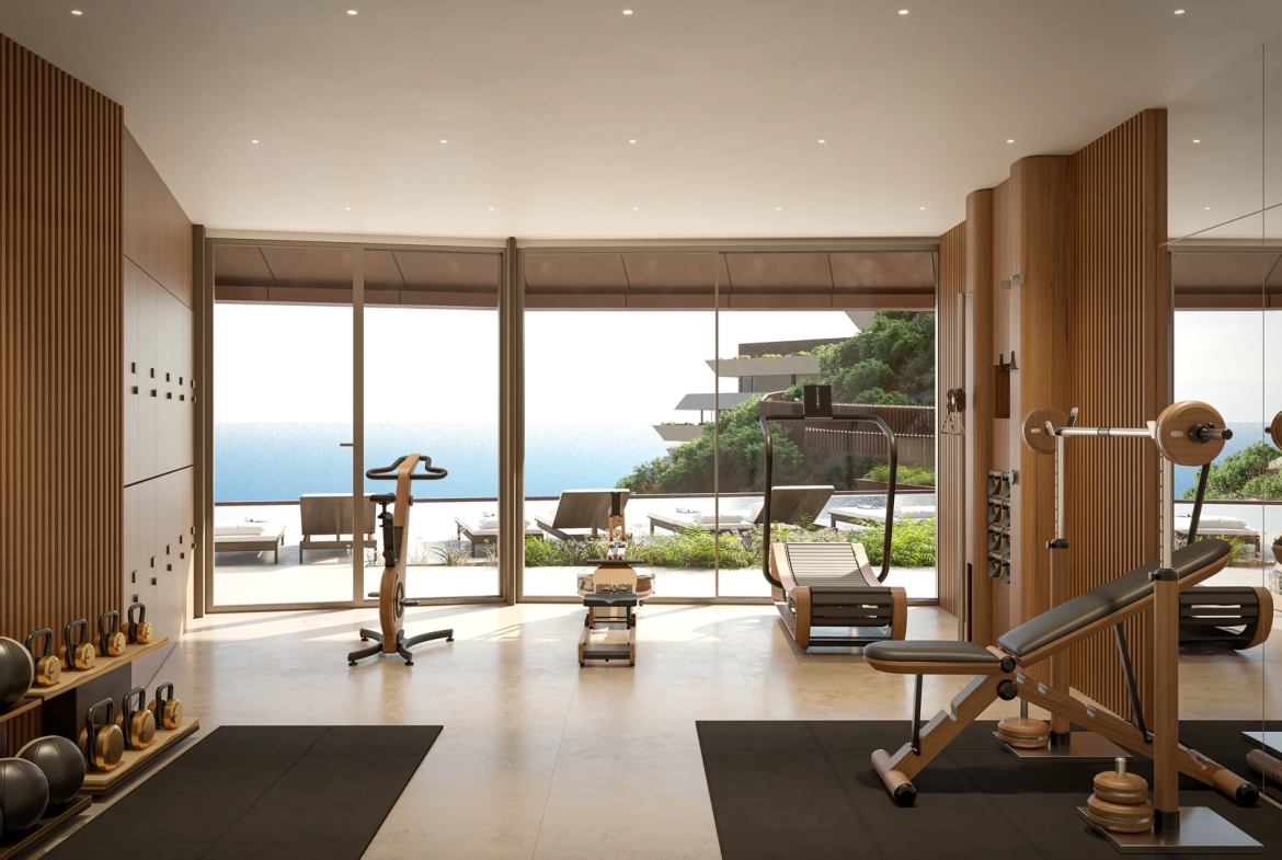 p16690_gym